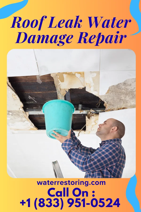 Roof Leak Water Damage Repair in Sheldon, WI